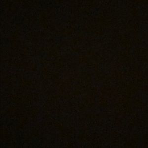 Meet your Posher, Garrett